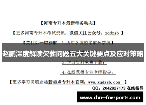 赵鹏深度解读欠薪问题五大关键要点及应对策略