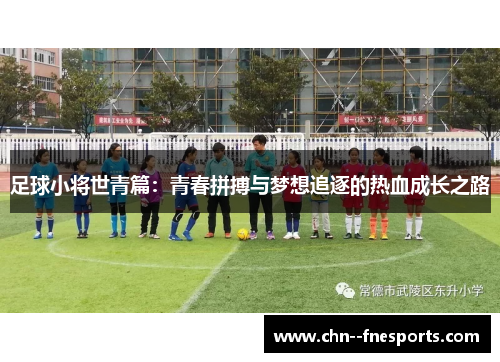 足球小将世青篇：青春拼搏与梦想追逐的热血成长之路